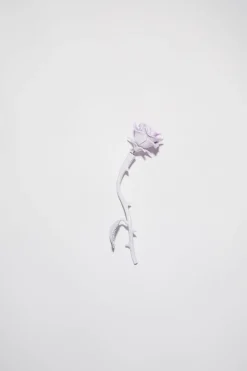 Ohrring Mit Rose Und Dornen